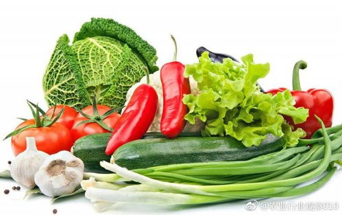 探究我國農(nóng)產(chǎn)品流通成本居高不下的多重原因