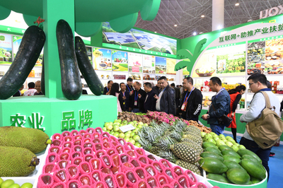 海口特色扶貧農(nóng)產(chǎn)品閃耀冬交會(huì)，助力鄉(xiāng)村振興