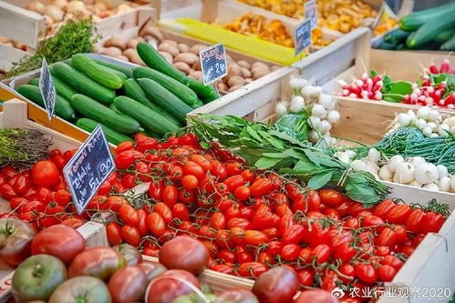 農(nóng)產(chǎn)品B2B電商 顛覆傳統(tǒng)模式，開(kāi)啟未來(lái)新篇章